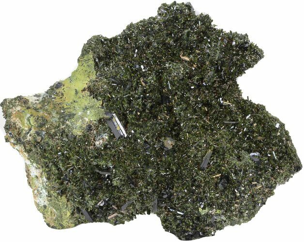 Lustrous Epidote Crystal Cluster on Actinolite - Pakistan #44064
